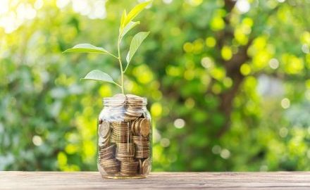 Glass jar full of coins with a plant growing out of the top