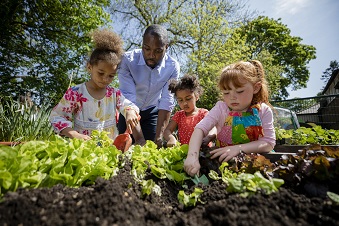 Children and educator planting seeds in a raised garden bed